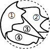 同桌100學(xué)習(xí)網(wǎng)